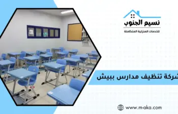 شركة تنظيف مدارس ببيش