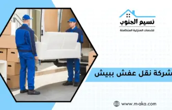 شركة نقل عفش ببيش