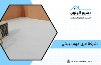 شركة عزل فوم ببيش