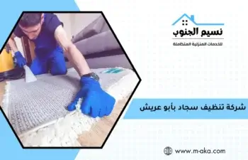 شركة تنظيف سجاد بأبو عريش