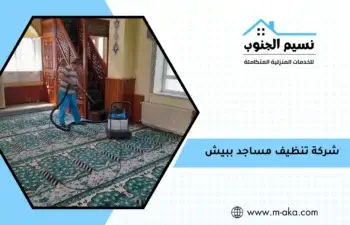 شركة تنظيف مساجد ببيش