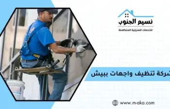 شركة تنظيف واجهات ببيش