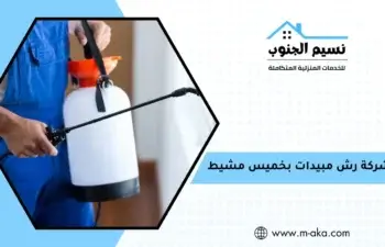 شركة رش مبيدات بخميس مشيط